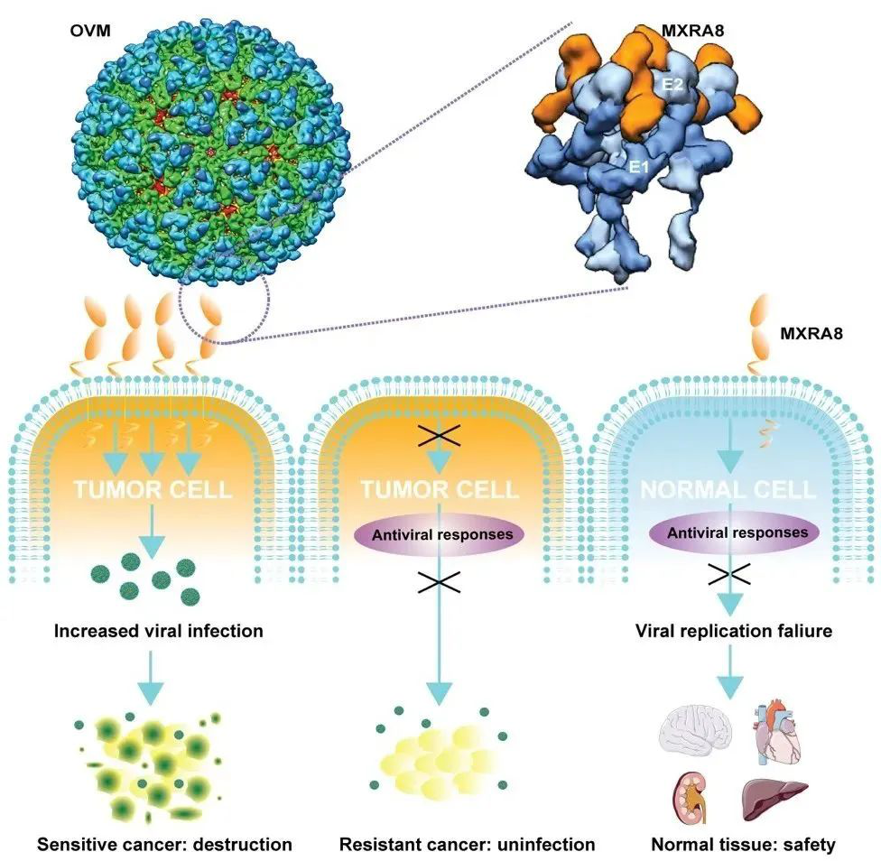 极速28网(中国)官方网站