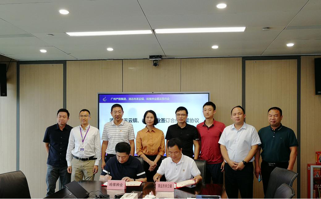 极速28网(中国)官方网站