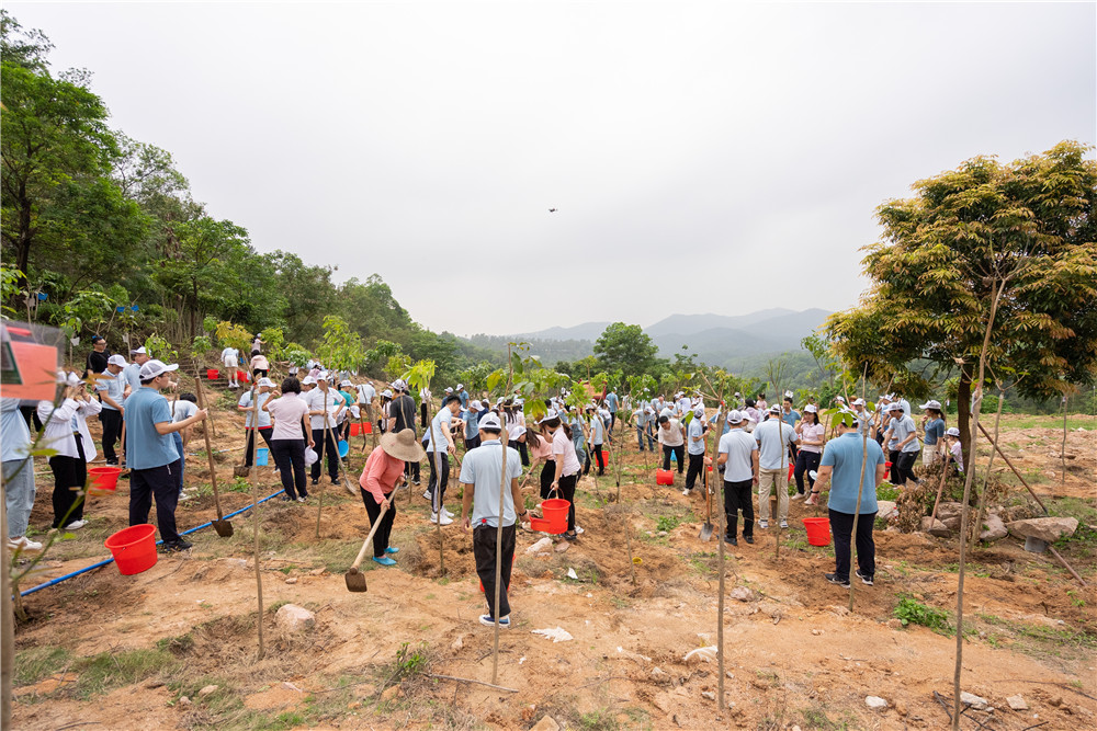 极速28网(中国)官方网站