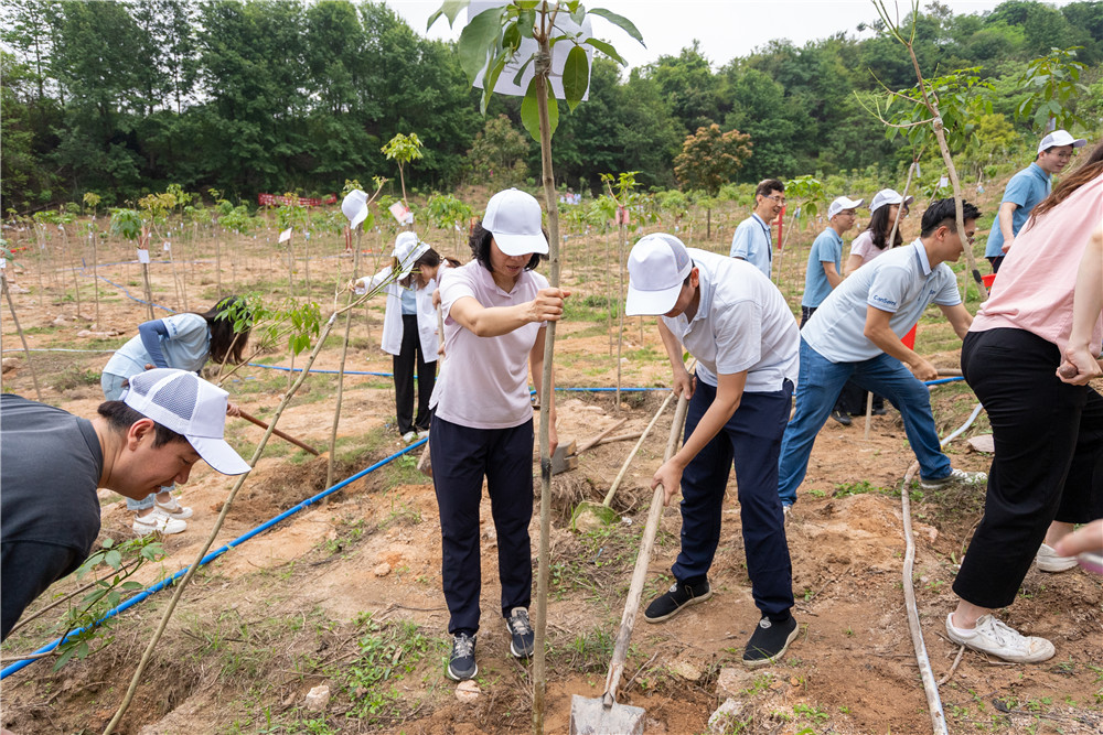 极速28网(中国)官方网站