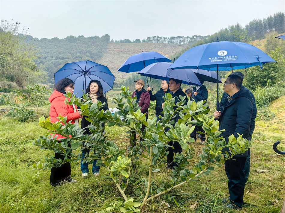 极速28网(中国)官方网站