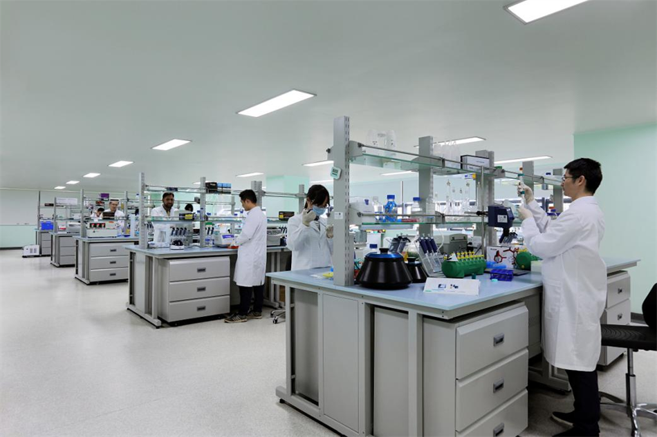 极速28网(中国)官方网站