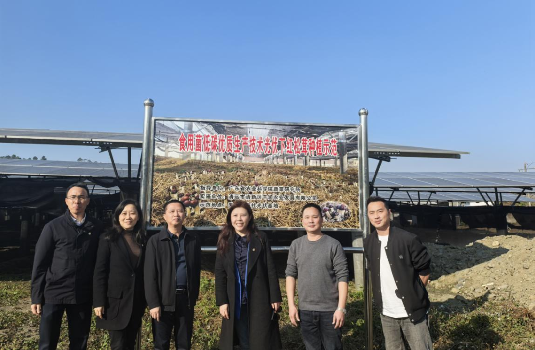 极速28网(中国)官方网站