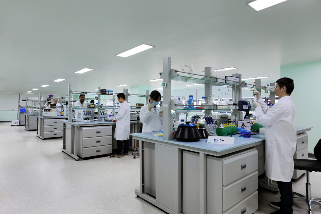 极速28网(中国)官方网站