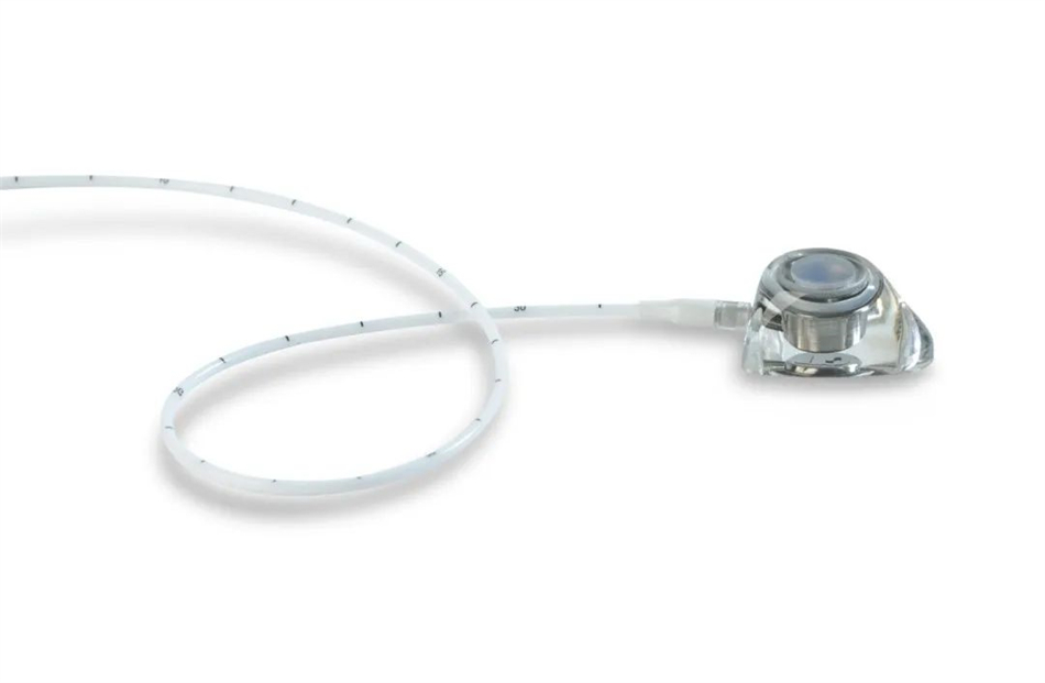 极速28网(中国)官方网站