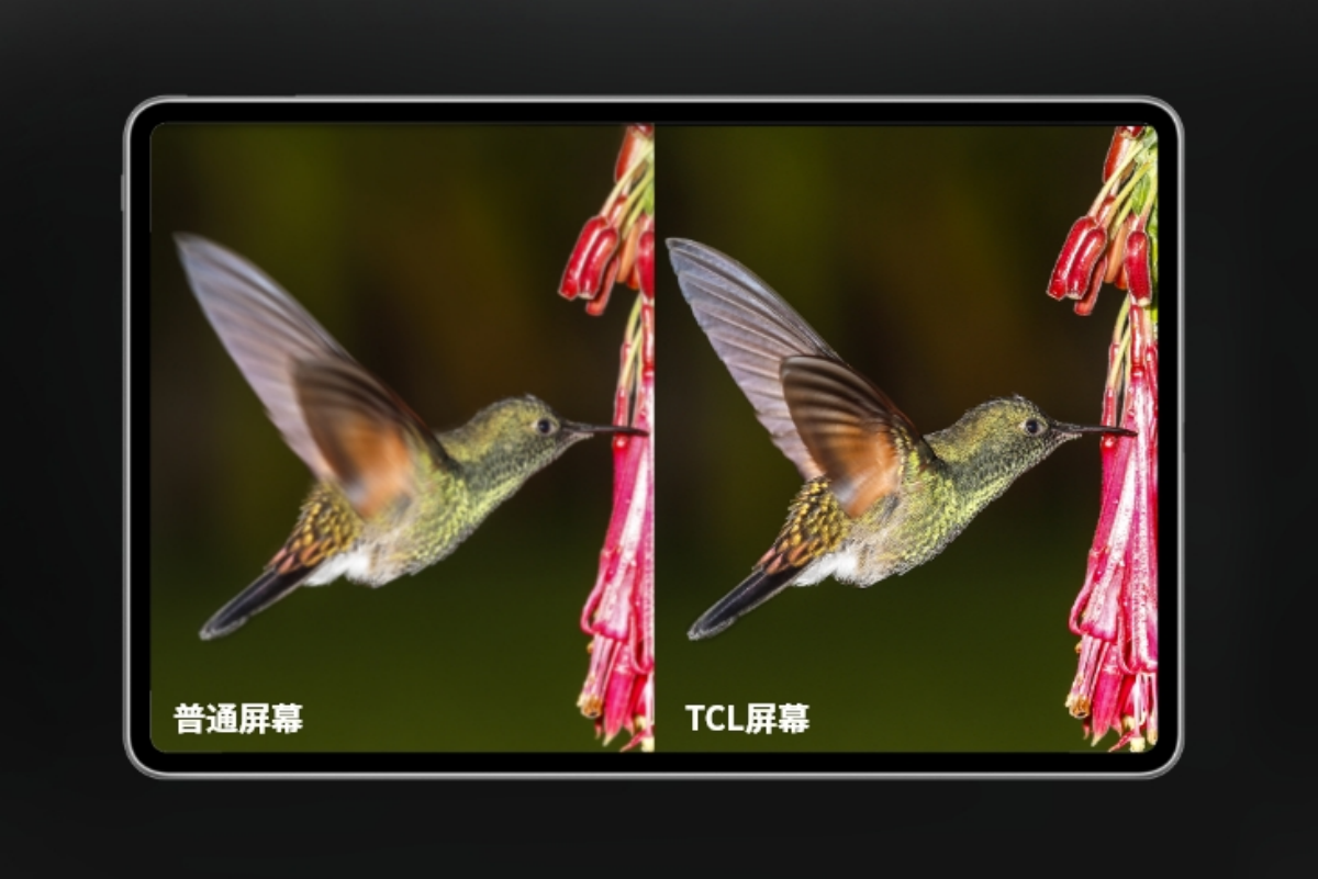 极速28网(中国)官方网站